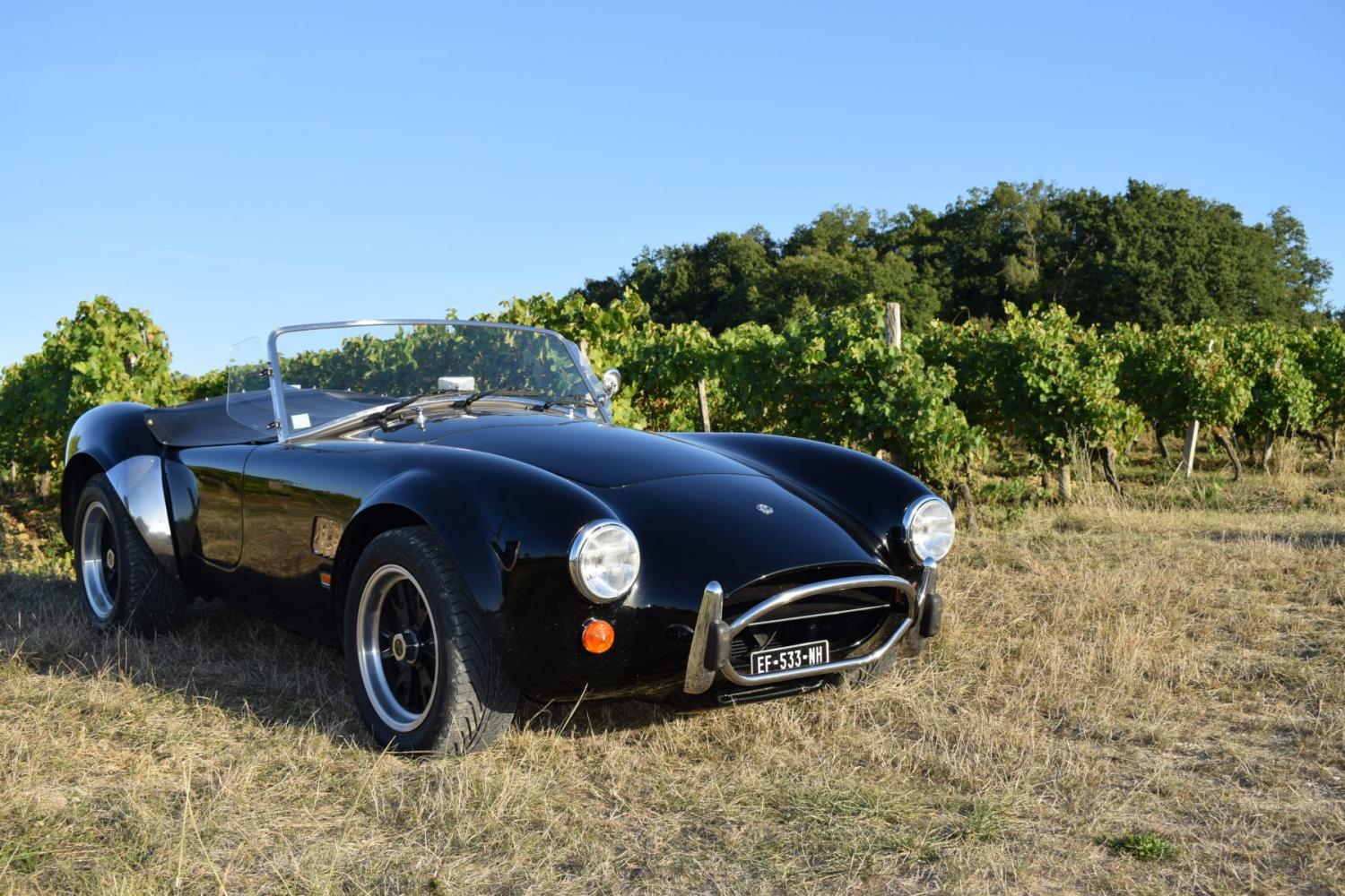 NOW SOLD! MK IV AutoKraft AC Cobra